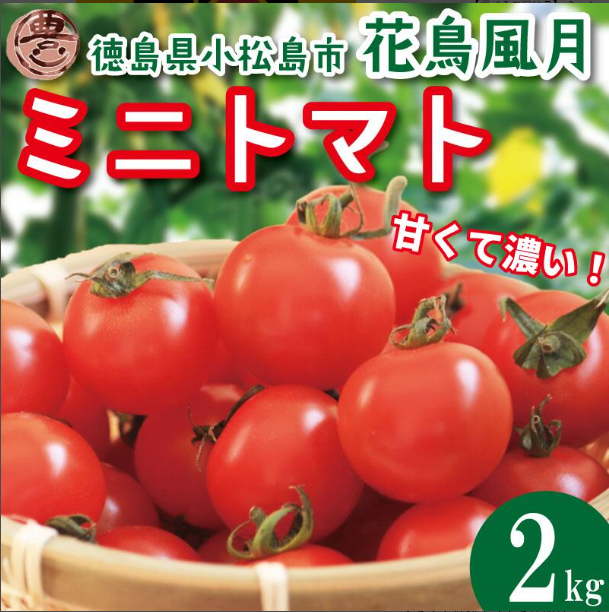ミニトマト 2kg